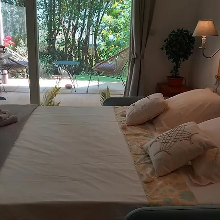 Studio La Boheme Wifi ,fibre, Garage Prive, Jardinet. Rdc. Tram L1 A 400 M Apartment