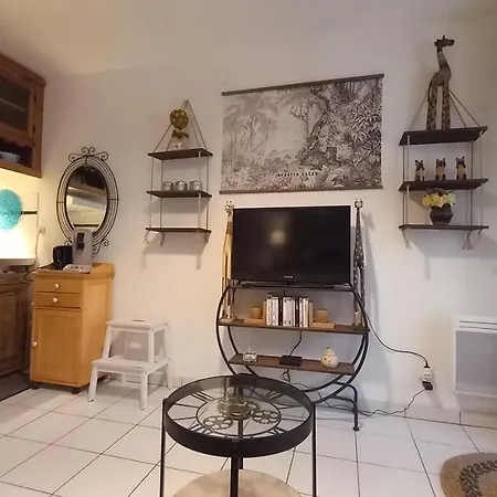 Apartment Studio La Boheme Wifi ,fibre, Garage Prive, Jardinet. Rdc. Tram L1 A 400 M Montpellier